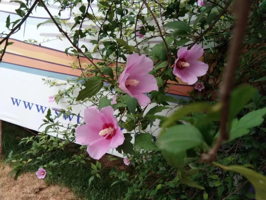 ۴